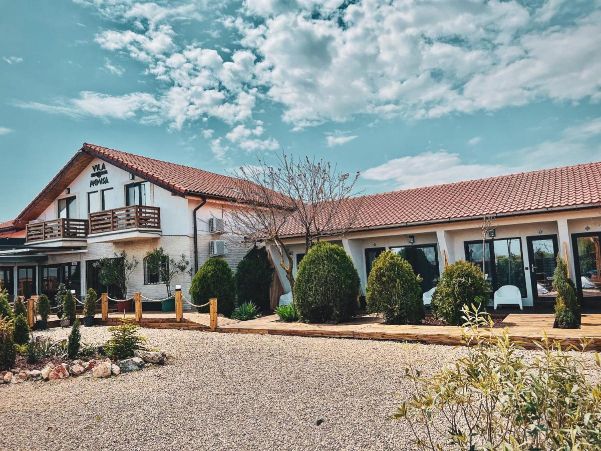 Vila Medusa Vama Veche Exteriér fotografie
